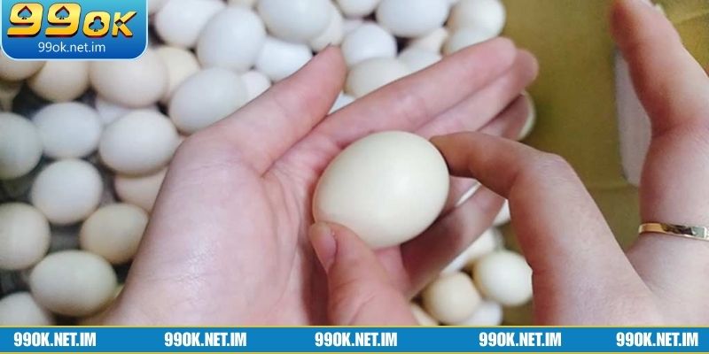 Ý nghĩa phong thủy của giấc mơ thấy trứng gà